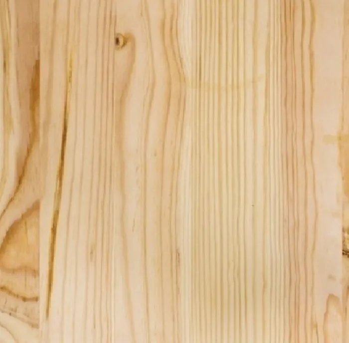 Textura da madeira Pinus