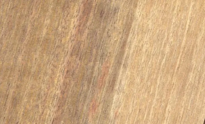 Textura da madeira Tanibuca