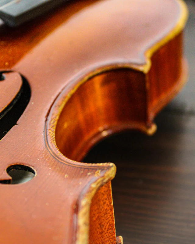 Detalhe do corpo de um violino em madeira